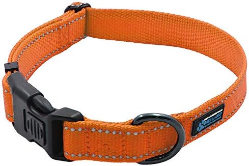 Max and Neo NEO Nylon Buckle Reflective Dog Collar - Medium, Orange