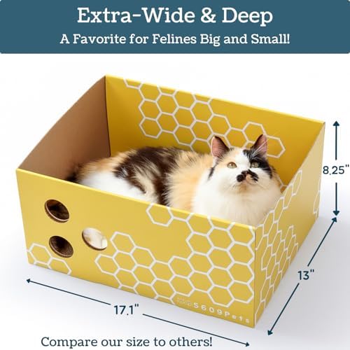No-Mess Cardboard Cat Scratcher Box - Refillable Double-Sided Scratch Pad
