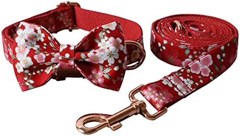 Custom Dog Collar with Names and Phone Number Engraved, Puppy Tags Personalized for Small Medium Large Pets