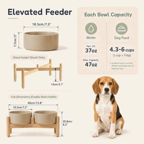 Havniva Ceramic Dog Bowls Elevated, Raised Dog Food Bowl for Small Dogs