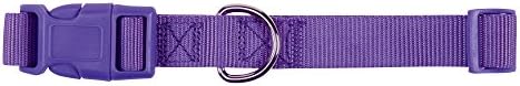 Zack & Zoey ⅝" Wide Nylon Dog Collar, Fits Necks 14" to 20", Ultra Violet