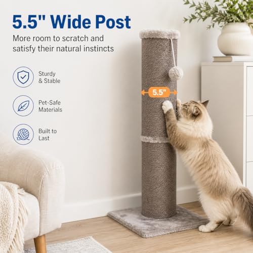Cat Scratching Post with 5.5 Inch Diameter Sisal Post, 32 Inch, Grey