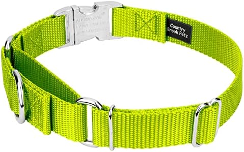 Country Brook Petz - Martingale Dog Collar - Heavy Duty Nylon Adjustable Martingale Dog Collar with Metal Buckle for Small Medium Large Breeds - 30+ Color Options (1 Inch, Medium, Hot Yellow)