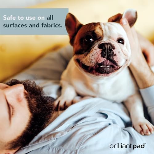 BrilliantPad TidyShot Pet Stain Remover & Odor Eliminator Spray (4 oz)