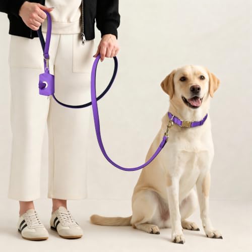 Didog Soft Padded Dog Collar for Large Dogs, Purple, L Neck 16-22"