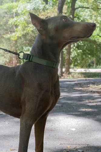 Martingale Dog Collar - Heavy Duty Nylon Adjustable Martingale Dog Collar with Plastic Buckle for Small Medium Large Breeds - 30+ Colors (1 Inch, Medium, Dark Olive Drab)