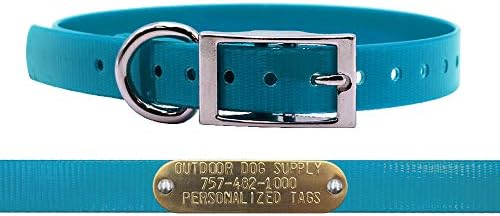 Waterproof D-Ring Dog Collar w Custom Name Tag 3/4x15, Teal