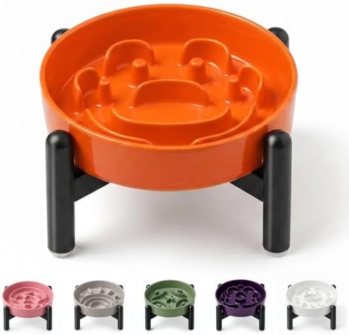 Elevated Slow Feeder Dog Bowl, 0.8 Cups Ceramic Raised Slow Feeder with Stainless Stand, 6.3 Inch Wide Lifted Dog Bowl for Small Breeds to Control Eating Speed, Orange