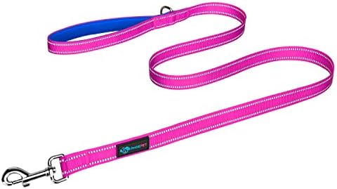 PHOEPET 5 Feet Dog Leash - Dual-Side Reflective - Soft Padded Handle