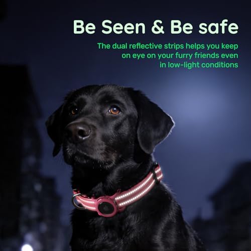 Airtag Dog Collar for Medium Dogs, Reflective Dog Collar with Airtag Holder