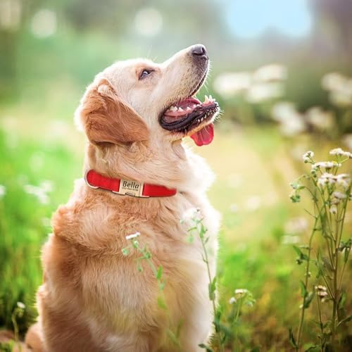 PET ARTIST Personalized Dog Collars, Custom Engraved Red Dog Collar with Silent Name Tag, Gold Quick Released Buckle & Soft Nylon Padded, Elegant Colors & Matching Leash for Large Dogs,L Fit 16-27"