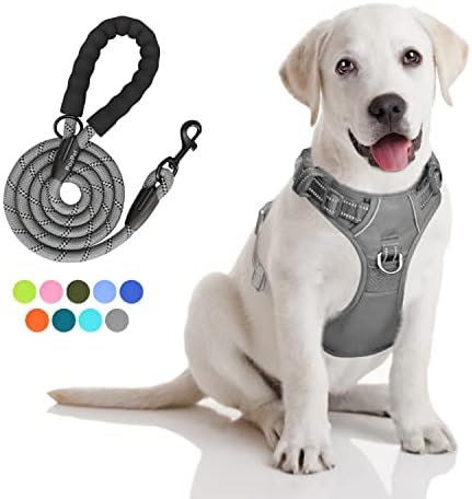 PoyPet Dog Harness and Leash Set, No Pull Vest with Front Clip and Handle