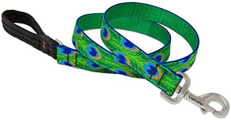 Lupinepet Originals 1" Tail Feathers 6-Foot Padded Handle Leash for Medium and Larger Dogs
