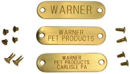 Dayglo Dog Collar with Engraved Brass ID tag USA (21" Fits 15-19" Neck, Orange)