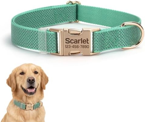 Custom Dog Collar with Name and Phone Number