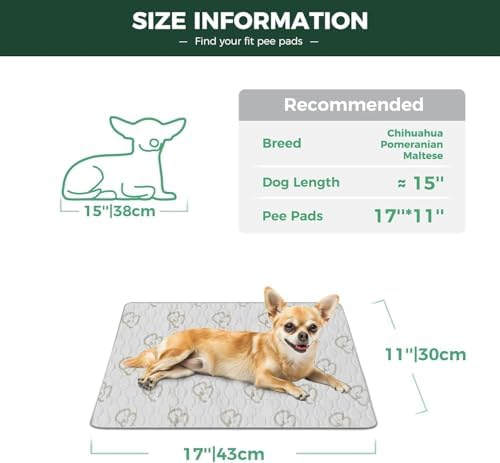 FXW Washable Pee Pads for Dogs, Super Absorbent, 11" x 17", 4 Packs