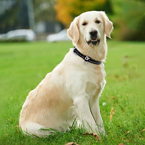 azuza Reflective Dog Collar, Neoprene Padded Large Dog Collar, Black, L