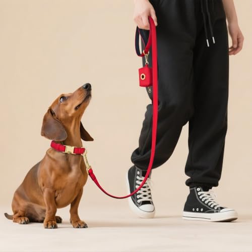 Didog Soft Padded Dog Collar for Small Dogs, Red, S Neck 10-15"