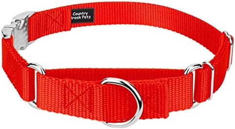 Country Brook Petz - Martingale Dog Collar - Heavy Duty Nylon Adjustable Martingale Dog Collar with Metal Buckle for Small Medium Large Breeds - 30+ Color Options (1 Inch, Extra Large, Hot Orange)