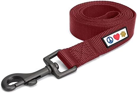Pawtitas Solid 6 ft Marsala Dog Leash XS/S Custom Name and Phone Embroidery Strong Nylon Leash for Small Breeds