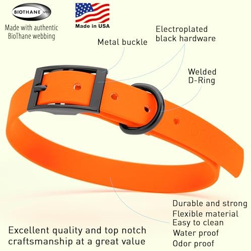 Dogline Biothane Waterproof Dog Collar Strong Coated Nylon Webbing with Black Hardware Odor- Proof for Easy Care Easy to Clean High Performance Fits Small Medium or Large Dogs, Hunter Orange