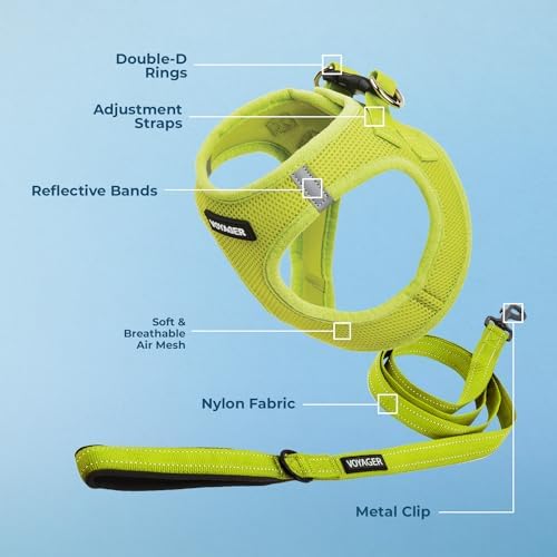 Best Pet Supplies Voyager Step-in Air All Weather Mesh Harness and Reflective Dog 5ft Leash Combo with Neoprene Handle, for Small, Medium and Large Breed Puppies - Lime Green, X-Small