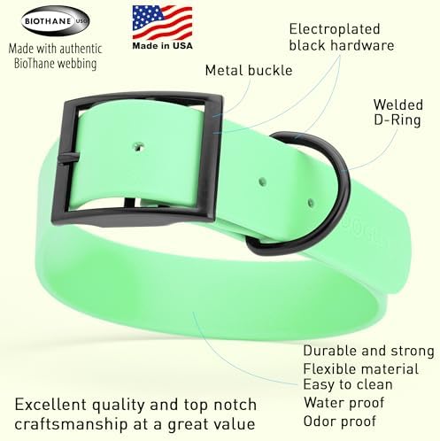 Dogline Biothane Waterproof Dog Collar Strong Coated Nylon Webbing with Black Hardware Odor- Proof for Easy Care Easy to Clean High Performance Fits Small Medium or Large Dogs, Sea Foam Green