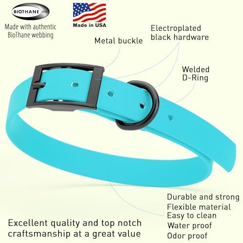 Dogline Biothane Waterproof Dog Collar Strong Coated Nylon Webbing with Black Hardware Odor- Proof for Easy Care Easy to Clean High Performance Fits Small Medium or Large Dogs, Sky Blue