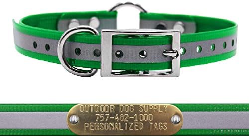 Reflective D & Center Ring Dog Collar w Personalized Name Tag, Dark Green