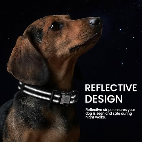 Personalized Dog Collar with QR Code Dog Tag, Black 05 S