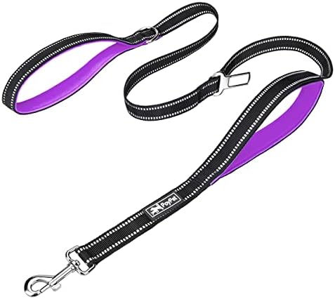 PoyPet 5 Feet Dog Leash with 2 Cushioned Handles (Purple)