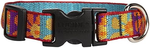 LupinePet Originals 3/4" Crazy Daisy 9-14" Adjustable Collar for Small Dogs