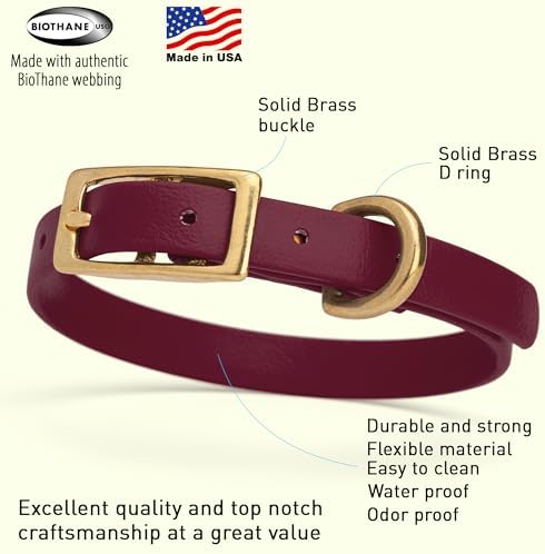 Viper Biothane Heavy Duty Waterproof Dog Collar Strong Coated Nylon Webbing w/Solid Brass Hardware Odor-Proof Easy to Clean High Performance Fits Small Medium or Large Dogs, Merlot Burgundy