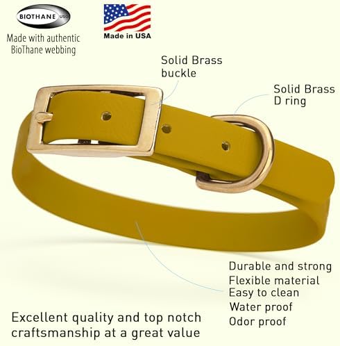 Viper Biothane Heavy Duty Waterproof Dog Collar Strong Coated Nylon Webbing w/Solid Brass Hardware Odor-Proof Easy to Clean High Performance Fits Small Medium or Large Dogs, Treasure Gold