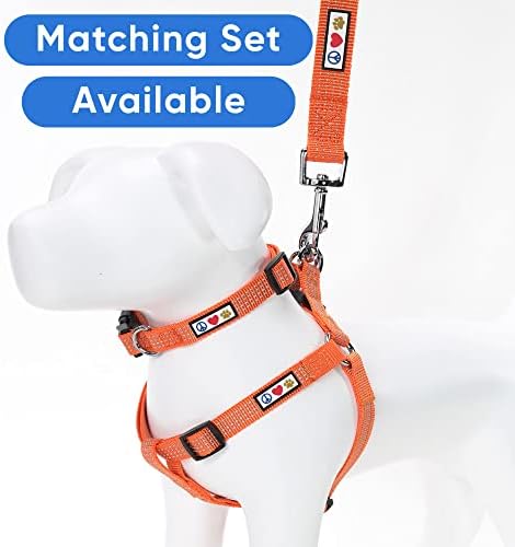 Pawtitas Orange Dog Leash 6 ft XS/S Reflective Durable Lightweight Dog Lead for Small Dogs and Puppies