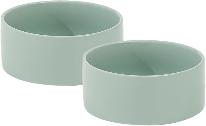 Havniva 6.1inch Ceramic Dog Bowls Double Dog Food Bowl for Small and Medium Breed Dog Food and Water Bowl Set Non-Slip Dog Dish Large Capacity Feeding Pet Water Bowl