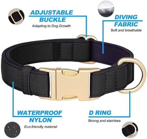Didog Soft Padded Dog Collar for Small Dogs, Black, S Neck 10-15"