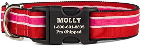 If It Barks Personalized 1" Striped Dog Collar - Engraved Name - Custom Size, Shortcake