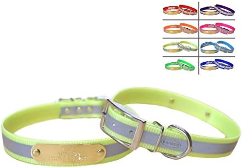 Reflective Dayglo Dog Collar Free Engraved Brass ID tag USA (Neon Yellow 19”)