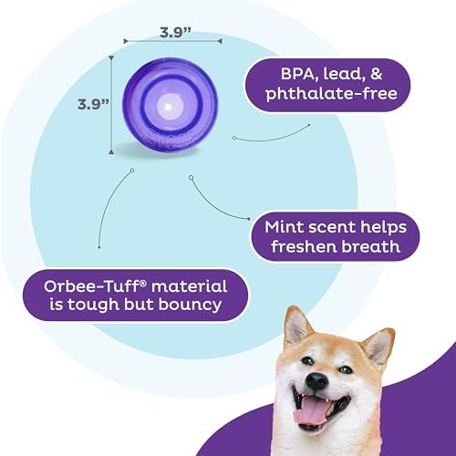 Outward Hound Lil' Snoop Interactive Treat Dispensing Dog Toy, Purple, 3.9"