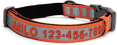 Pawtitas Personalized Reflective Padded Dog Collar With Name Phone Number - Adjustable Customized Collar for Large Dog Breeds | Orange