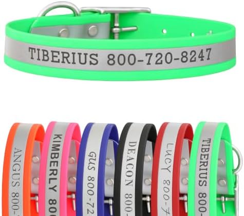 dogIDs Personalized Reflective Waterproof Dog Collar - Custom, Durable, Adjustable, Odor Resistant, Safe, Engraved - Green, 1 in x 22 in (Fits Neck Sizes: 20-24 in)