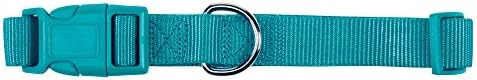 Zack & Zoey ⅝" Wide Nylon Dog Collar, Fits Necks 10" to 16", Bluebird