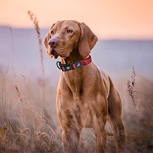 Kruz Dog Collar for Large Dogs (Width- 1", Length - 25"-27.5") Reflective Adjustable Pet Neck Band with Soft Padding, Heavy-Duty O-Ring, 100% Nylon Strap (Orange, X-Large)
