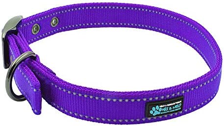 Max and Neo MAX Reflective Metal Buckle Dog Collar - We Donate a Collar to a Dog Rescue for Every Collar Sold (Medium, Purple)