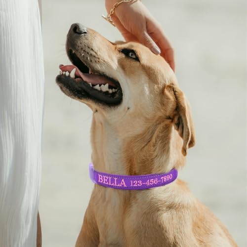 Personalized Nylon Dog Collar with Embroidered Name, Black