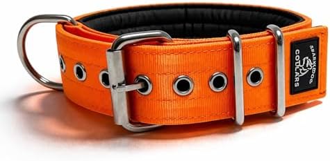 SparkDog Padded Working Dog Collar (Bright Orange, 2" Padded (16-21" Neck)