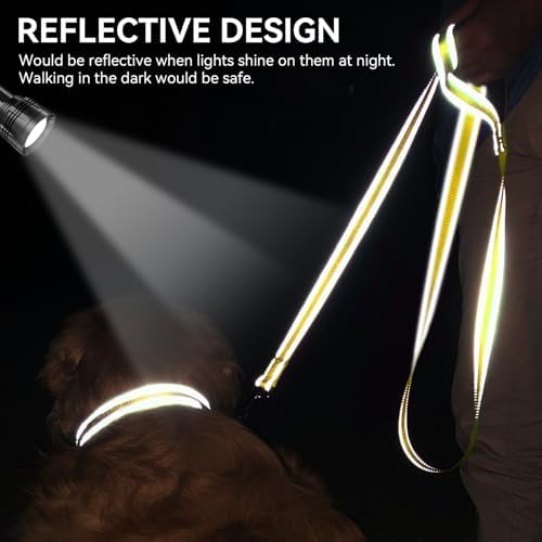 Joytale Reflective Dog Leash for Medium & Large Dogs, 5 FT x 1", Yellow