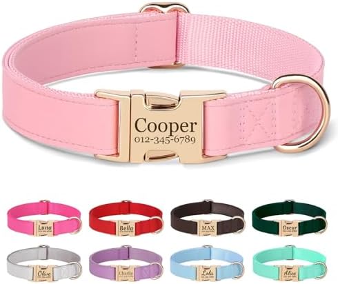 PET ARTIST Personalized Dog Collars, Custom Engraved Pink Dog Collar with Silent Name Tag, Gold Quick Released Buckle & Soft Nylon Padded, Elegant Colors & Matching Leash for Medium Dogs,M Fit 13-19"