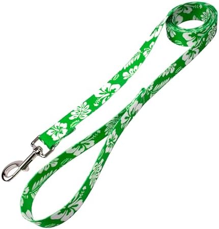 Country Brook Petz - Kelly Green Hawaiian Everyday Dog Leash - Summer Breeze Collection Featuring Sunny Designs (6 Foot, 1 Inch Wide)